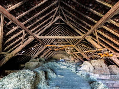 Bild 50 aus  Allgäu Bergferienhof