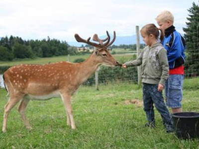 Bild 3 aus  Karlshof