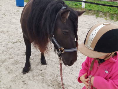 Bild 10 aus  Hof Janssen