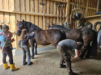 Bild 12 aus  Steigerwälder Zwergenhof ihr kleiner Kinder-Bauernhof für Familien- und Gruppenurlaube