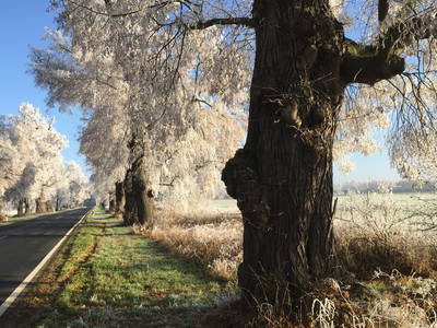 Winterliche Verbindung Uetz nach Paretz