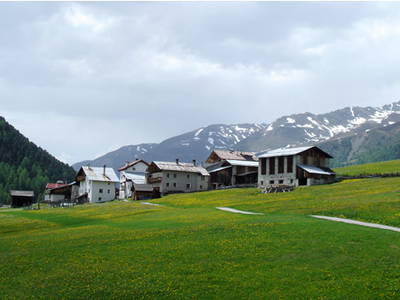 Bild 5 aus  Natürliches Ferienwohnen