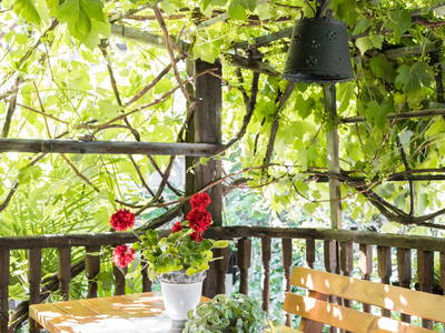 Bild 18 aus  Sittnerhof Meran - Tradition seit 1366 -  ein Kleinod in der Stadt - in der Kurstadt Meran.