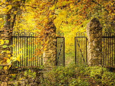 Bild 15 aus  Gut Neuwerk