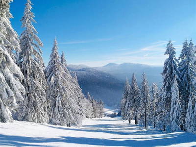 Bild 30 aus  Ferienhof am Mehlbach