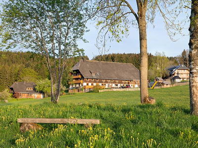 Bild 5 aus  Weberhof am Titisee