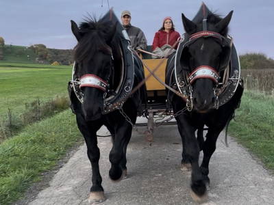 Bild 15 aus  Steigerwälder Zwergenhof ihr kleiner Kinder-Bauernhof für Familien- und Gruppenurlaube