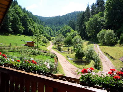 Bild 12 aus  Wellness-Bauernhof Eulersbacher Hof