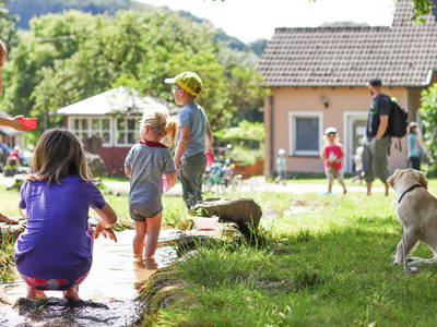 Bild 35 aus  Ferienhof Feinen