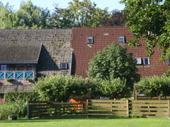 Bild 6 aus  Kleyhauers Ferienbauernhof