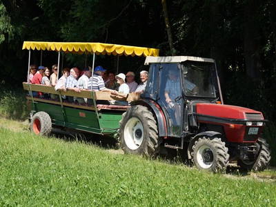 Eine Planwagenfahrt mit Picknick mit dem Chef des Hauses ist ein unvergessliches Erlebnis!