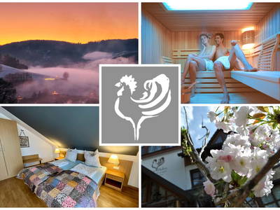 Bild 48 aus  Goldener Hahn - Hyggeliges Aparthotel mit Frühstücksbuffet, Pool & Sauna