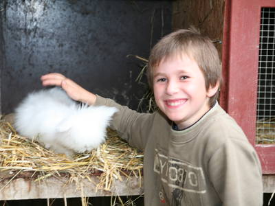 Bild 15 aus  Weidererhof