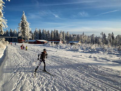 Bild 52 aus  Arber Lofts