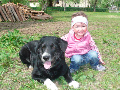 Bild 11 aus  Rhöner Haflingerhof