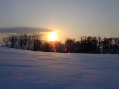 Bild 20 aus  Gripshof