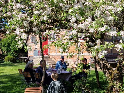 Bild 36 aus  Hof Alte Zeiten