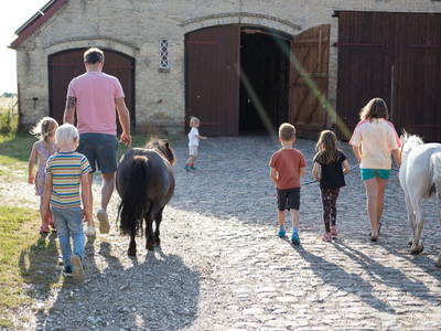 Ponys in den Stall führen