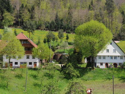 Bild 4 aus  Suschethof