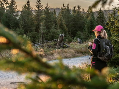 Bild 38 aus  Edlgütl Dein Hideaway