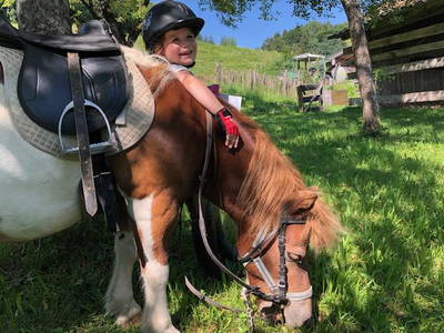 Bild 13 aus  Donauerhof