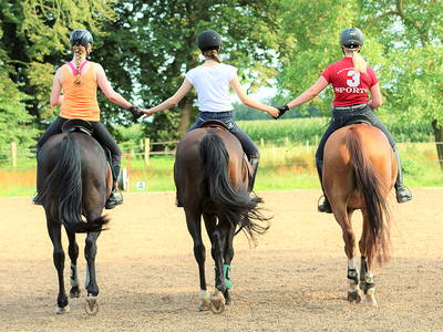 Bild 8 aus  LandSelection Gut Gaarz