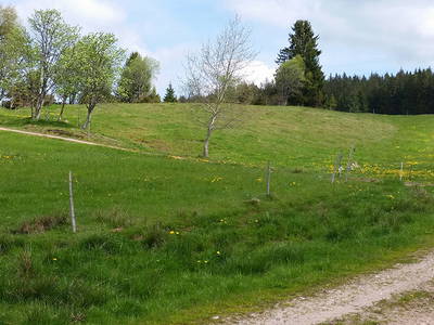 Bild 21 aus  Farnbauernhof