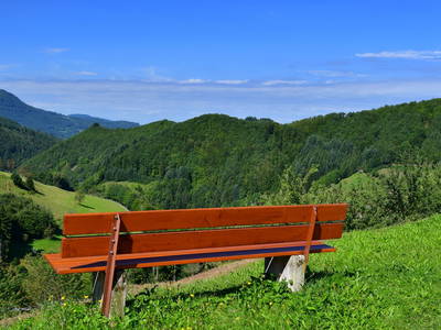 Ruhebank direkt auf dem Müllerbauernhof im Schwarzwald