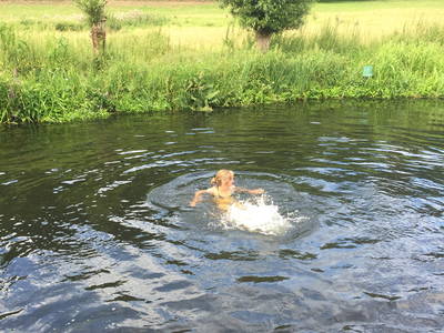 Bild 21 aus  Dreiseithof Schmadebeck