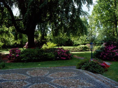 Bild 5 aus  Mühlenhof