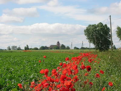Bild 8 aus  Ferienhaus Gut Rattelvitz-INSEL RÜGEN