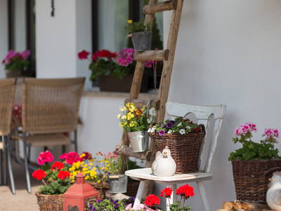 Bild 37 aus  Unterhöfenhof im malerischen Jostal am Titisee im Schwarzwald