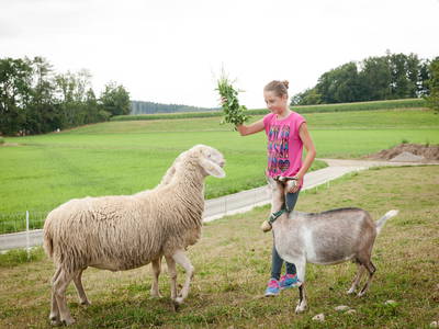 Bild 28 aus  LandSelection Staller Ferienhof