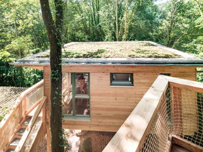 Bild 4 aus  Mainbaumhaus