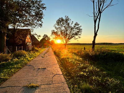 Bild 8 aus  Ferienbauernhof