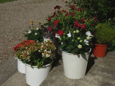 Bild 29 aus  Gut Hohenhain