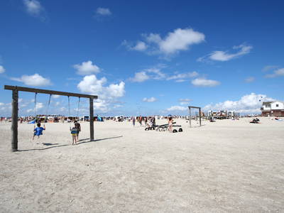 Bild 57 aus  Ferienhof Peter -  Ponys - streicheln, striegeln, füttern  -  Wattwanderungen + ganz viel Nordsee