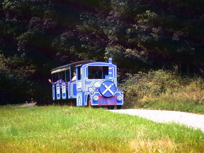 Bild 12 aus  Sammerhof