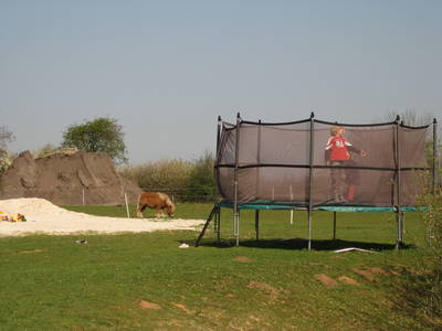 Bild 10 aus  Carstens Ferienhof