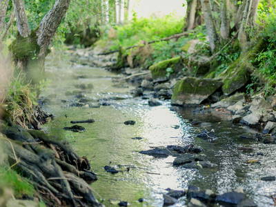 Bild 44 aus  Hellbachhof