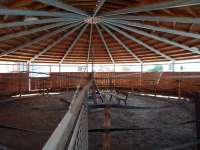 Bild 13 aus  Reiter- und Ferienhof Redder