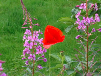 Bild 20 aus  Ferienwohnung Flender