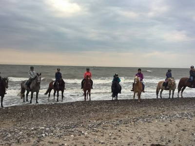 Bild 36 aus  Ferienhof Rauert