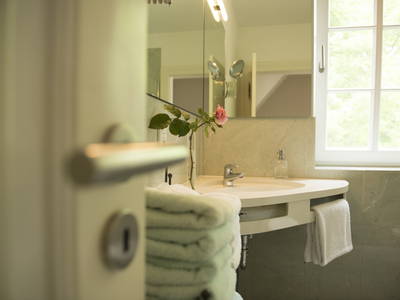 Bild 8 aus  LandSelection Ol' Backhus