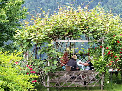 Bild 8 aus  Gasserhof B&B - Appartement