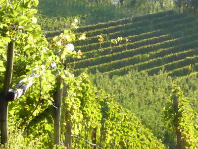 Bild 36 aus  Schloss Englar ****