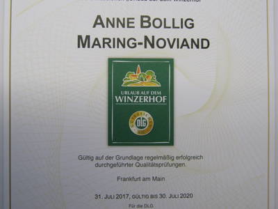 Bild 19 aus  Ferienwohnungen - Gästehaus Mühlenhof  Anne Bollig