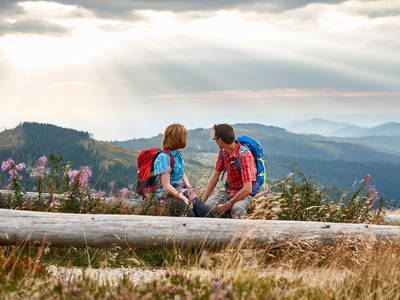 Bild 18 aus  Arber Lofts