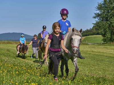 Bild 10 aus  Ferienhof Bauer