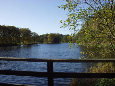 Bild 6 aus  Hof Junkernberg am See